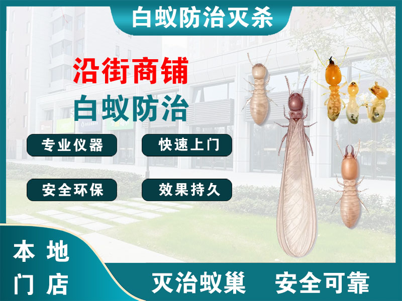 铜山沿街商铺白蚁防治
