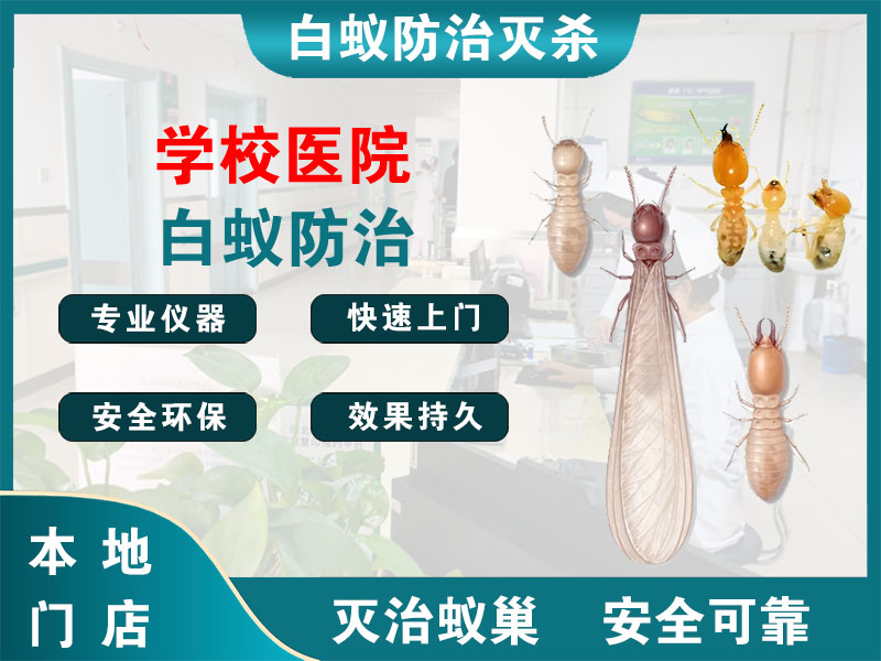 铜山学校医院白蚁防治