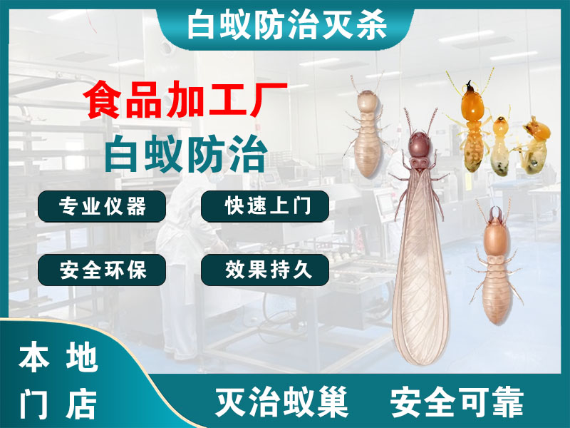 铜山食品加工厂白蚁防治