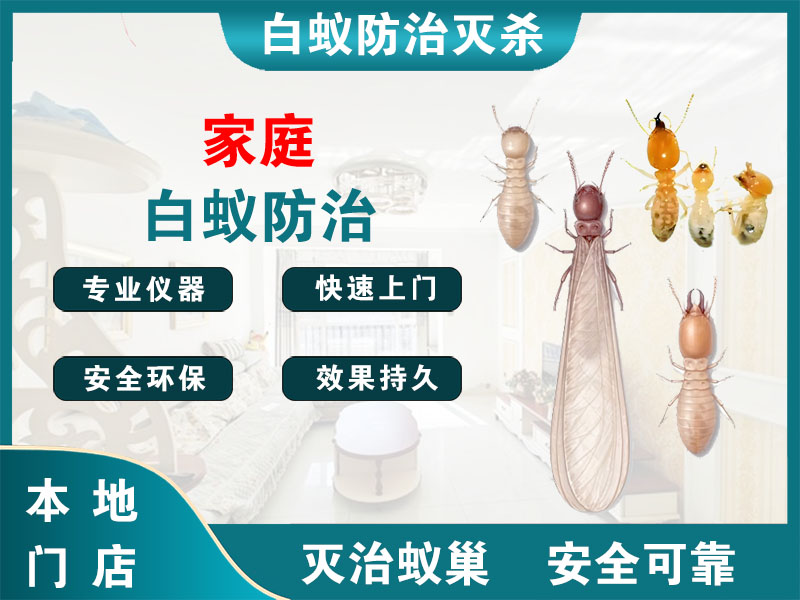 铜山家庭白蚁防治