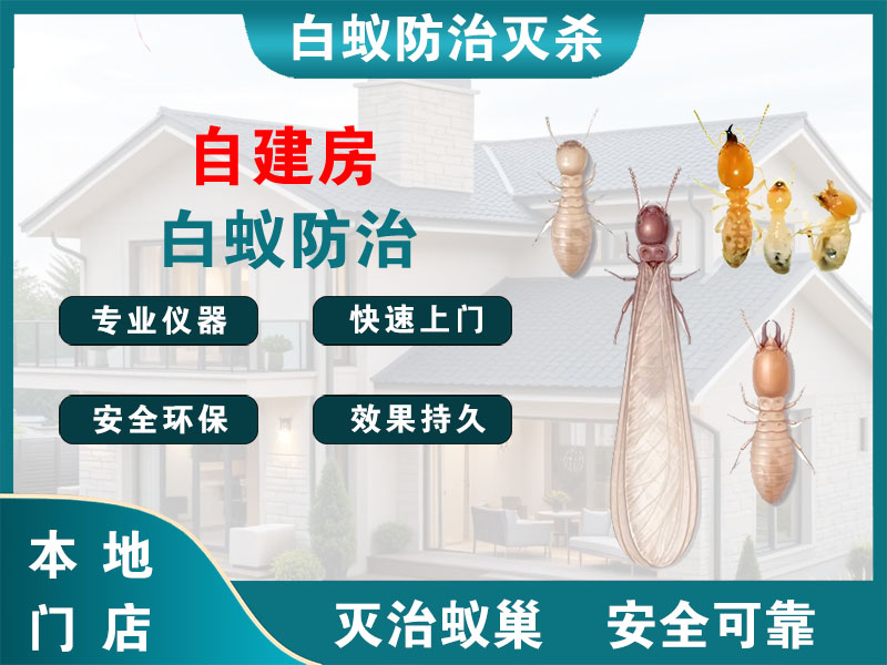 铜山自建房白蚁防治