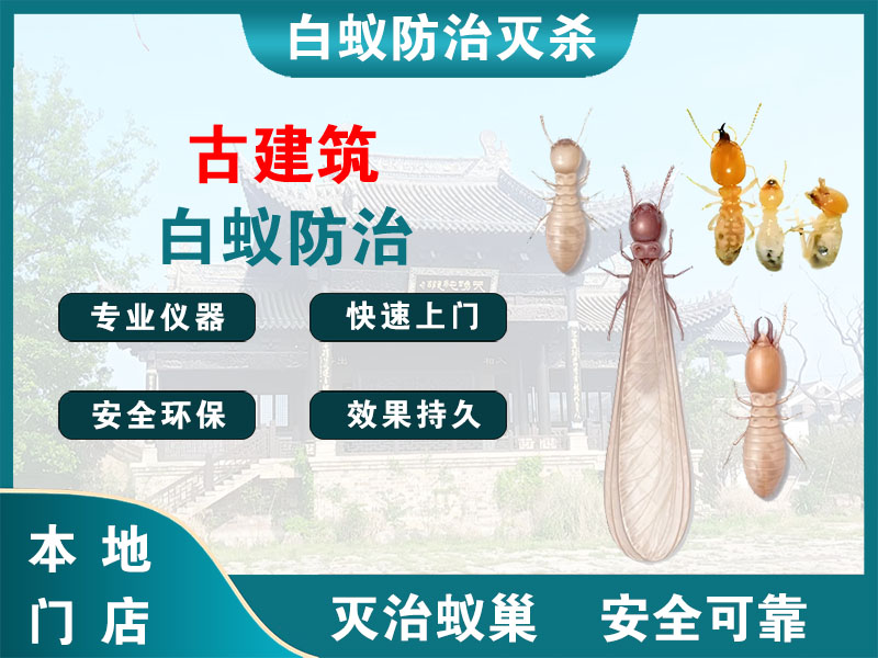 铜山古建筑白蚁防治