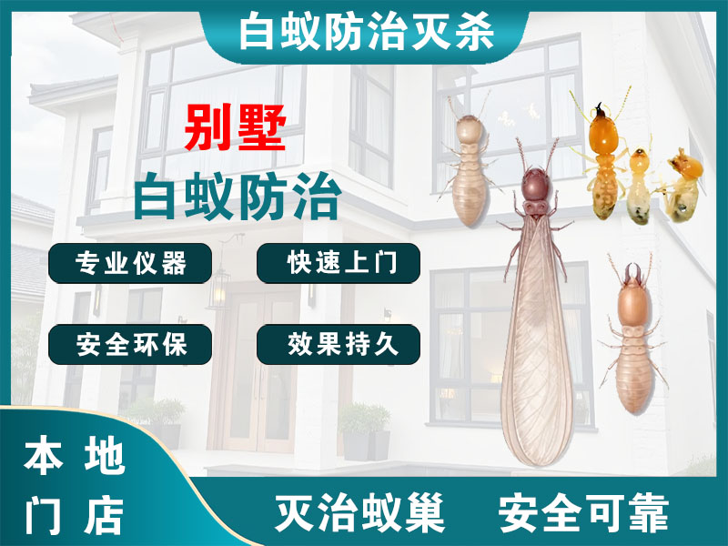 铜山别墅白蚁防治