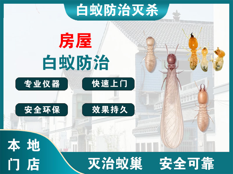 铜山房屋白蚁防治